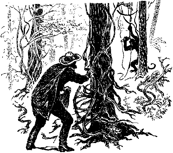 Жангада. Кораблекрушение "Джонатана". - i_006.png