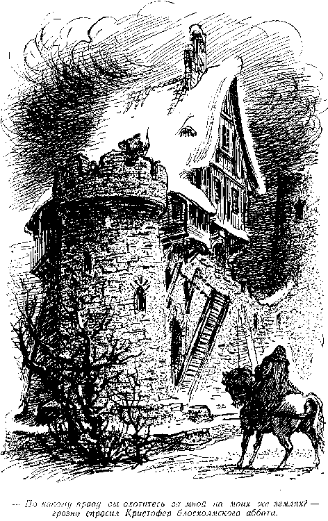 Хозяйка Блосхолма. В дебрях Севера - i_012.png