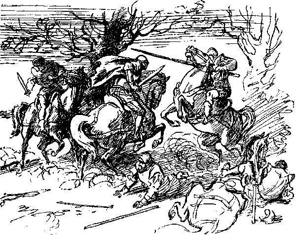 Хозяйка Блосхолма. В дебрях Севера - i_022.png