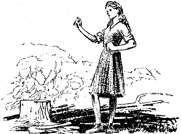 Хозяйка Блосхолма. В дебрях Севера - i_029.png