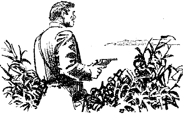 Хозяйка Блосхолма. В дебрях Севера - i_035.png