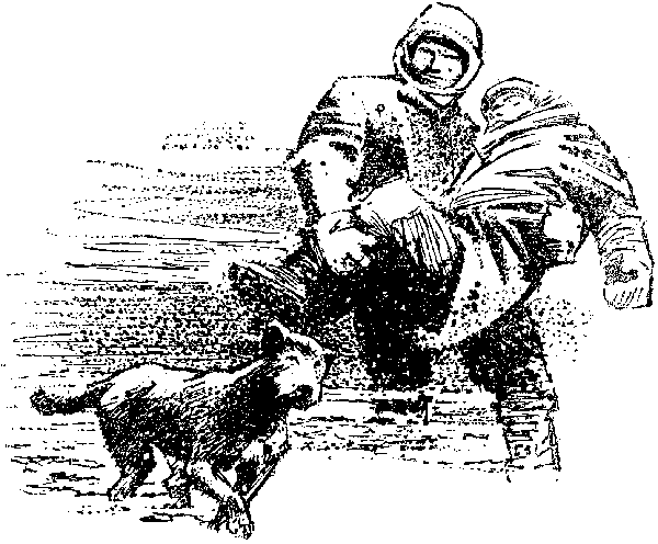 Хозяйка Блосхолма. В дебрях Севера - i_037.png