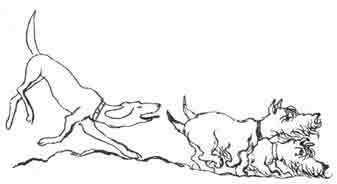 Ваш покорный слуга пёс Бутс - auto_fb_img_loader_11.jpeg