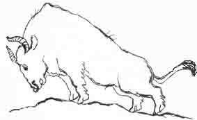 Ваш покорный слуга пёс Бутс - auto_fb_img_loader_12.jpeg