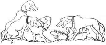 Ваш покорный слуга пёс Бутс - auto_fb_img_loader_22.jpeg