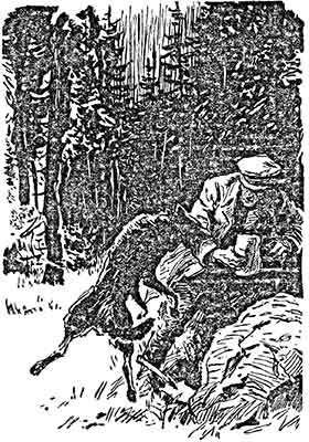 Ночной визит - pic_9.jpg