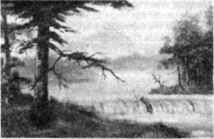 Множественные умы Билли Миллигана - i_003.jpg