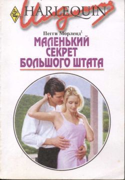 Книга Маленький секрет большого штата