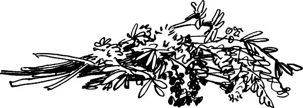 Дети подземелья - i_003.jpg