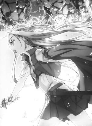 Книга Sword Art Online. Ария в беззвездной ночи