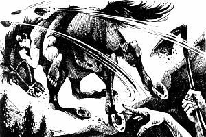 Кровное родство - i_027.jpg