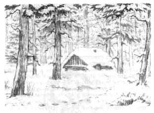 Сибирочка - _4.jpg