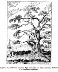 Всеобщая история географических открытий. Книга 2. Мореплаватели XVIII века - pic_25.png