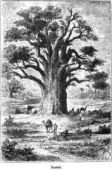 Всеобщая история географических открытий. Книга 2. Мореплаватели XVIII века - pic_102.jpg