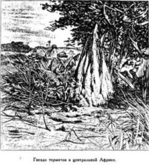 Всеобщая история географических открытий. Книга 2. Мореплаватели XVIII века - pic_103.jpg