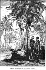 Всеобщая история географических открытий. Книга 2. Мореплаватели XVIII века - pic_116.jpg