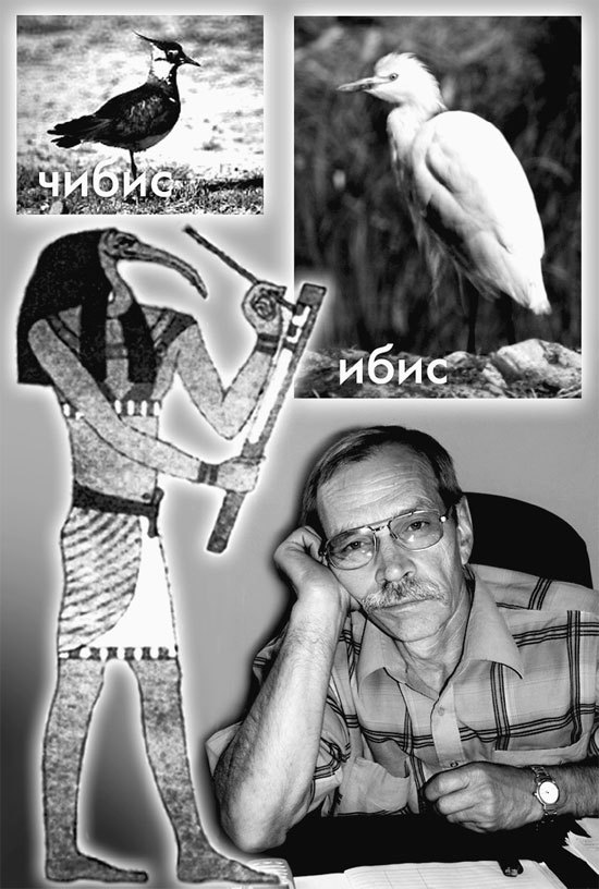 Матрица жизни на Земле. Том 4 - _41.jpg