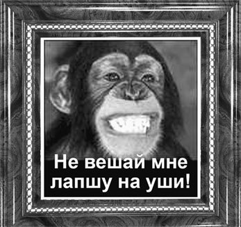 Матрица жизни на Земле. Том 4 - _66.jpg