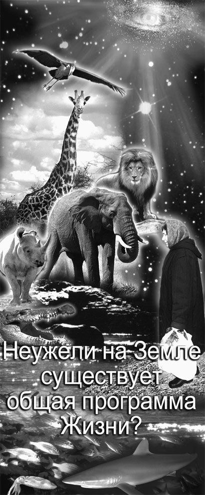 Матрица жизни на Земле. Том 4 - _68.jpg