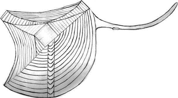 Матрица жизни на Земле. Том 4 - _70.jpg