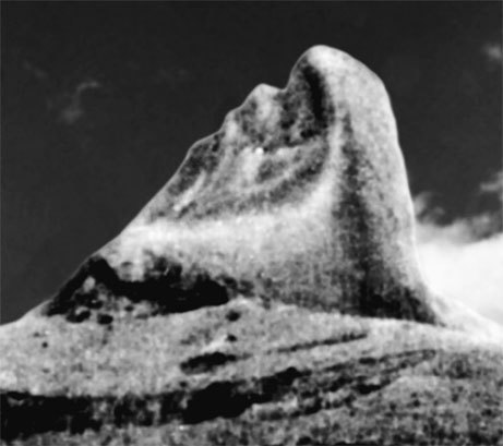 Матрица жизни на Земле. Том 4 - _79.jpg