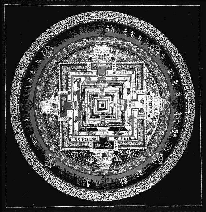 Матрица жизни на Земле. Том 4 - _90.jpg