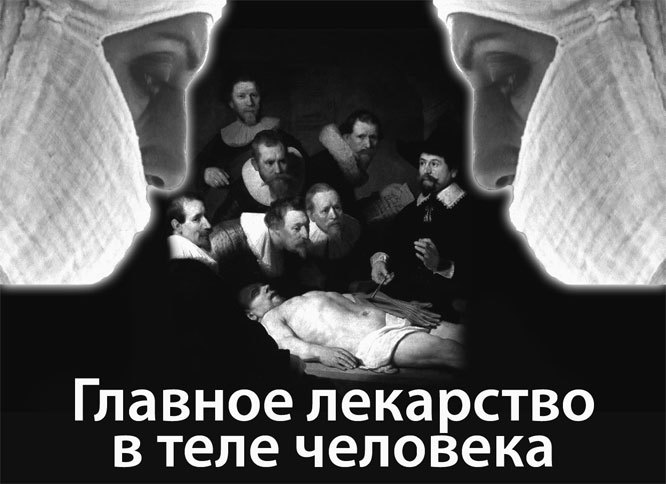 Матрица жизни на Земле. Том 4 - _121.jpg