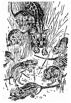 По всему свету - Sc0522.png