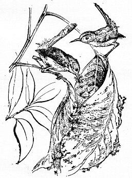 По всему свету - Sc1222.png