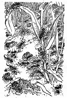 По всему свету - Sc1422.png