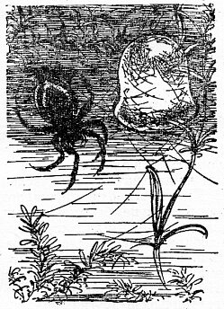 По всему свету - Sc1622.png