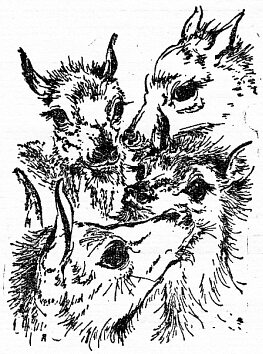 По всему свету - Sc1822.png