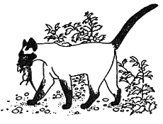 Хлопот полон рот - i_005.png