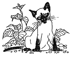 Хлопот полон рот - i_007.png