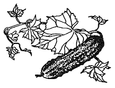 Хлопот полон рот - i_011.png