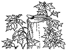 Хлопот полон рот - i_013.png