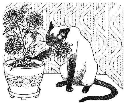 Хлопот полон рот - i_026.png