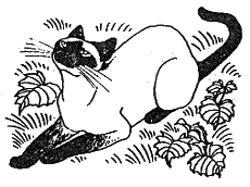 Хлопот полон рот - i_029.png