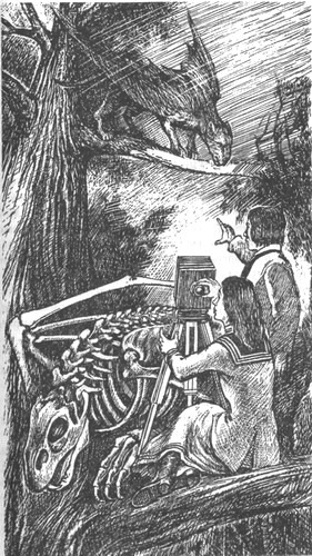 Небесный скиталец - pic19.jpg