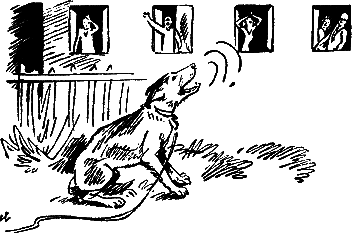 400 советов любителю собак - i_044.png