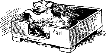 400 советов любителю собак - i_055.png
