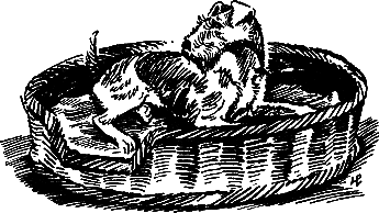 400 советов любителю собак - i_057.png