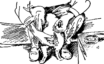 400 советов любителю собак - i_121.png