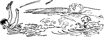 400 советов любителю собак - i_257.png