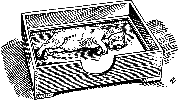 400 советов любителю собак - i_270.png
