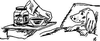 400 советов любителю собак - i_271.png