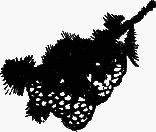 Затески к дому своему - zatkds00.png