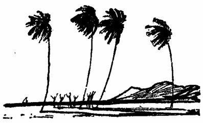 Отчаянное путешествие - pic_30.jpg