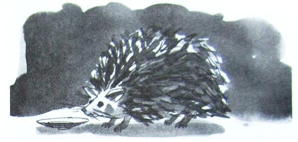 Грибной дождь для героя - _014.jpg