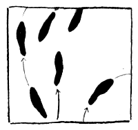 Цацики и вселенная - i_011.png